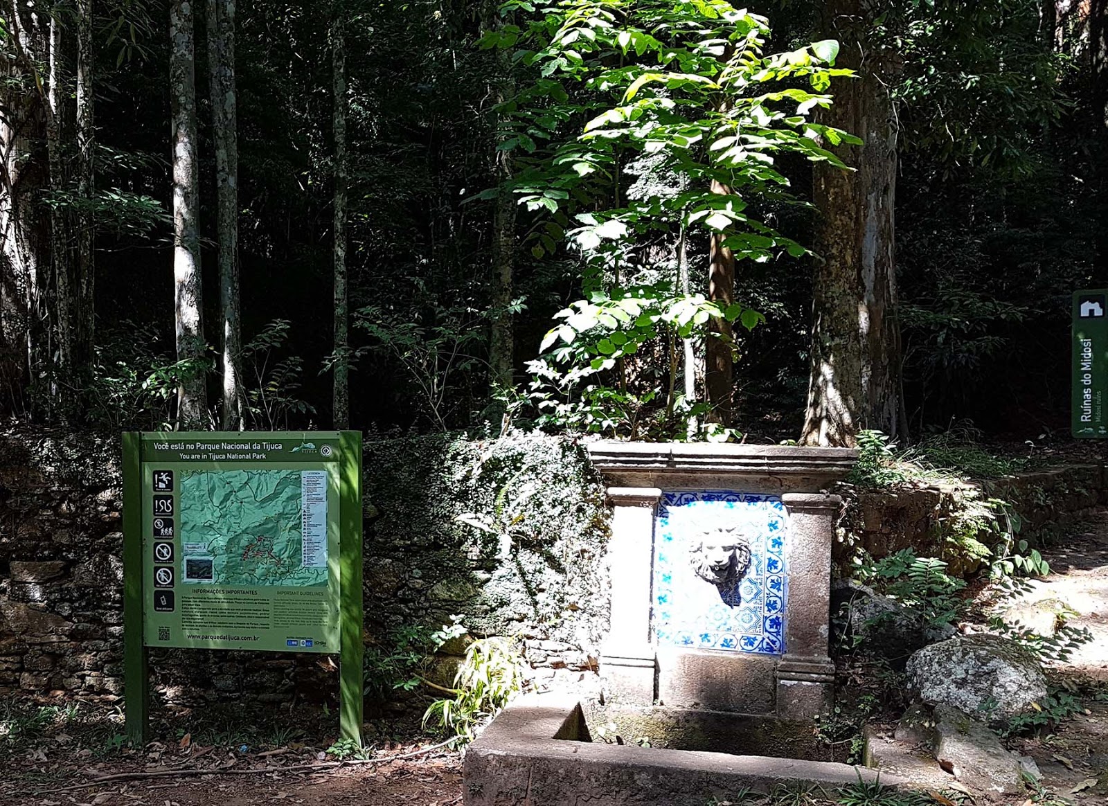 Fonte Midosi na Floresta da Tijuca.
