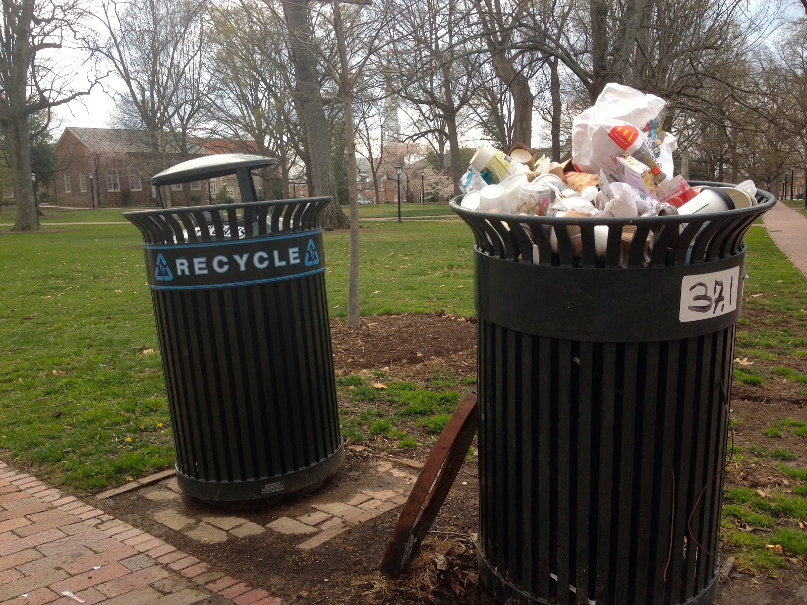 The Happy Nomads The Good, the Bad, and the Trashy