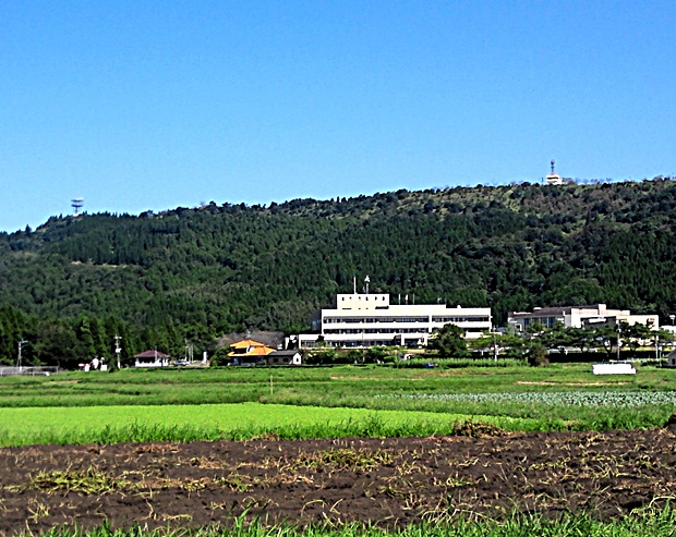 ある都市の市役所は何をするのですか？