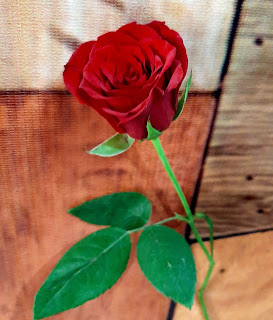 rose image