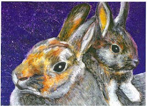 Rabbits at night pic