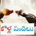 Cock Fights In Godavari Districts Video