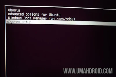 Masuk BIOS Lenovo Lewat Grub Linux