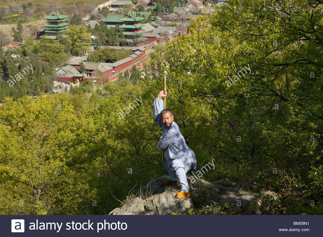 yanwen Thai News Collections