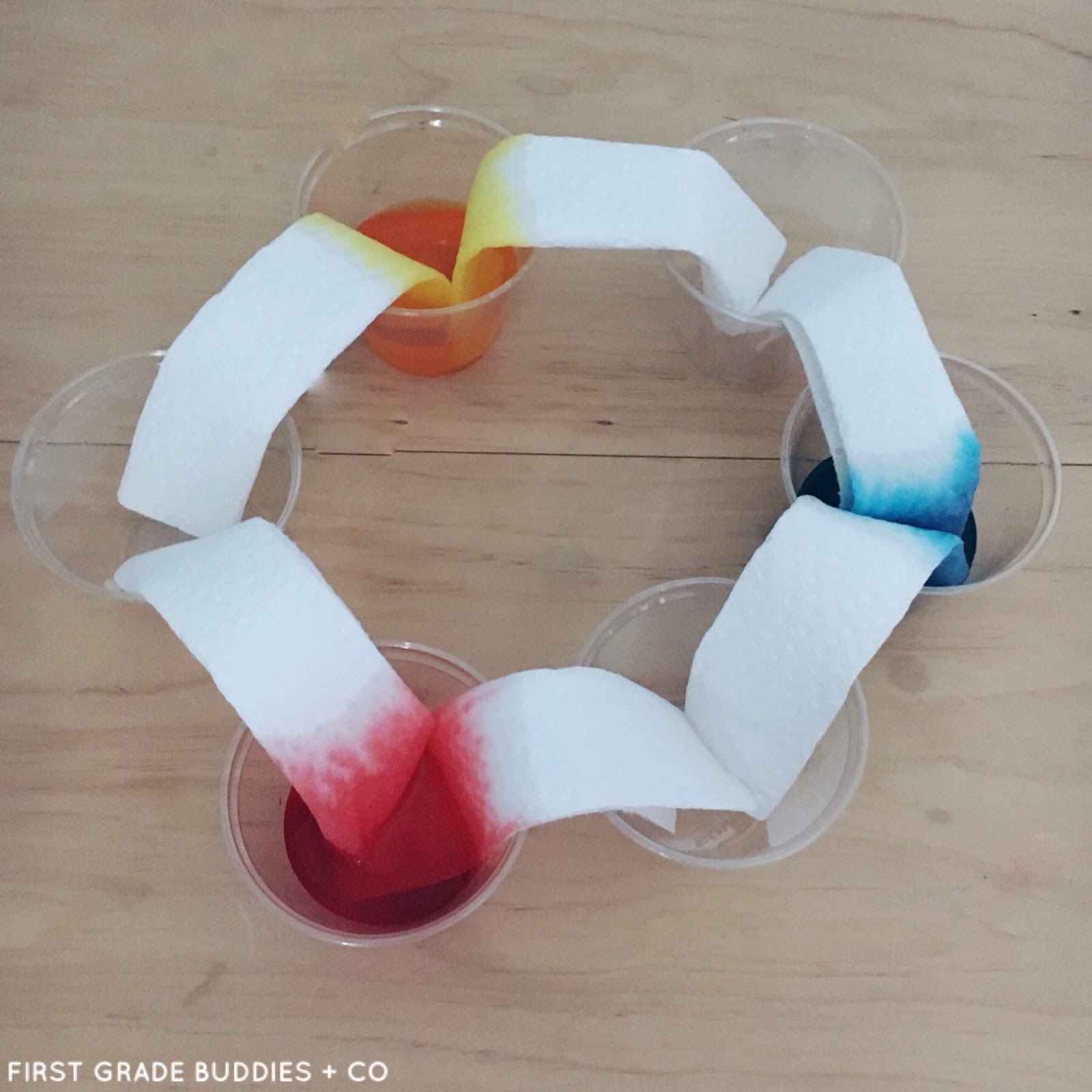 Simple Science Walking Rainbow First Grade Buddies