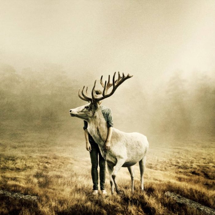 Изысканные и сложные образы. Martin Stranka