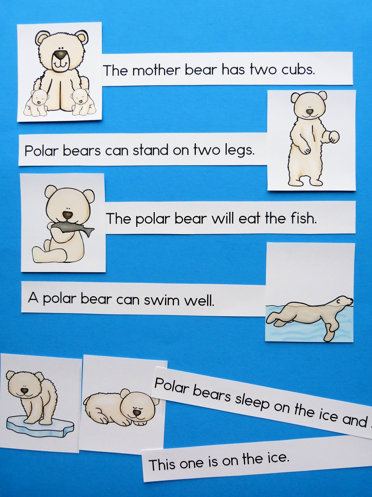 Paula's Primary Classroom: Polar Bears