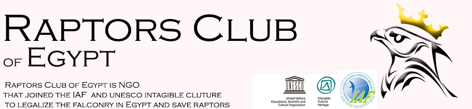 Raptors Club of Egypt