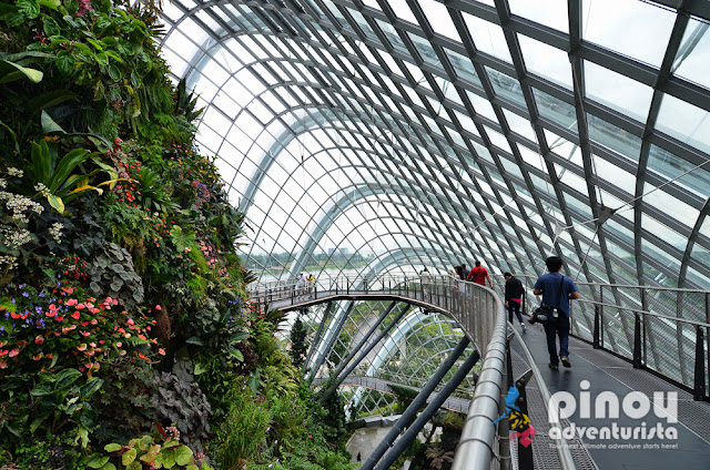 What to do in Singapore Gardens by the Bay Blog