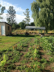 Going all the way new chicken coop Chez Nous Farms
