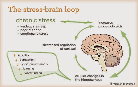 9 حقائق مذهلة عن الدماغ البشري