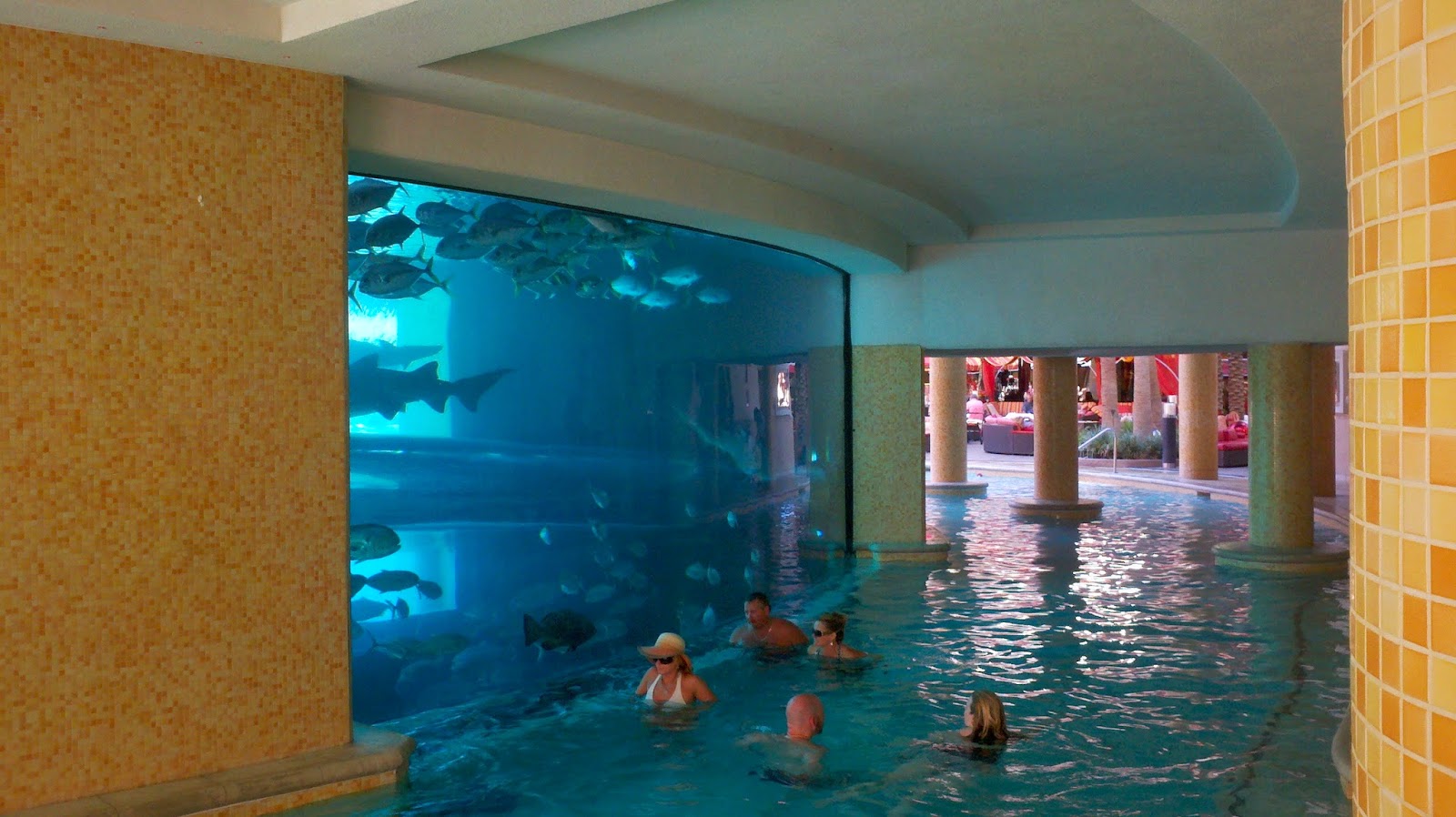 Bharat Travel Points Las Vegas Activities Shark Tank Tours