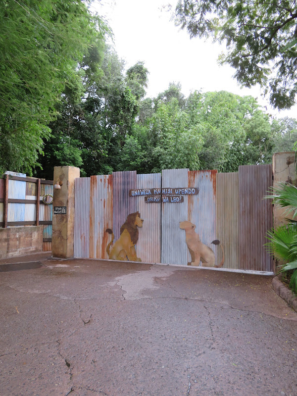 Lion King Wall Can You Feel The Love Tonight Disney's Animal Kingdom