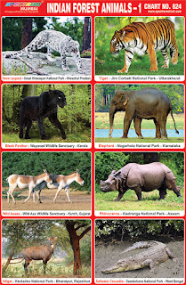 Indian Forest Animals Chart