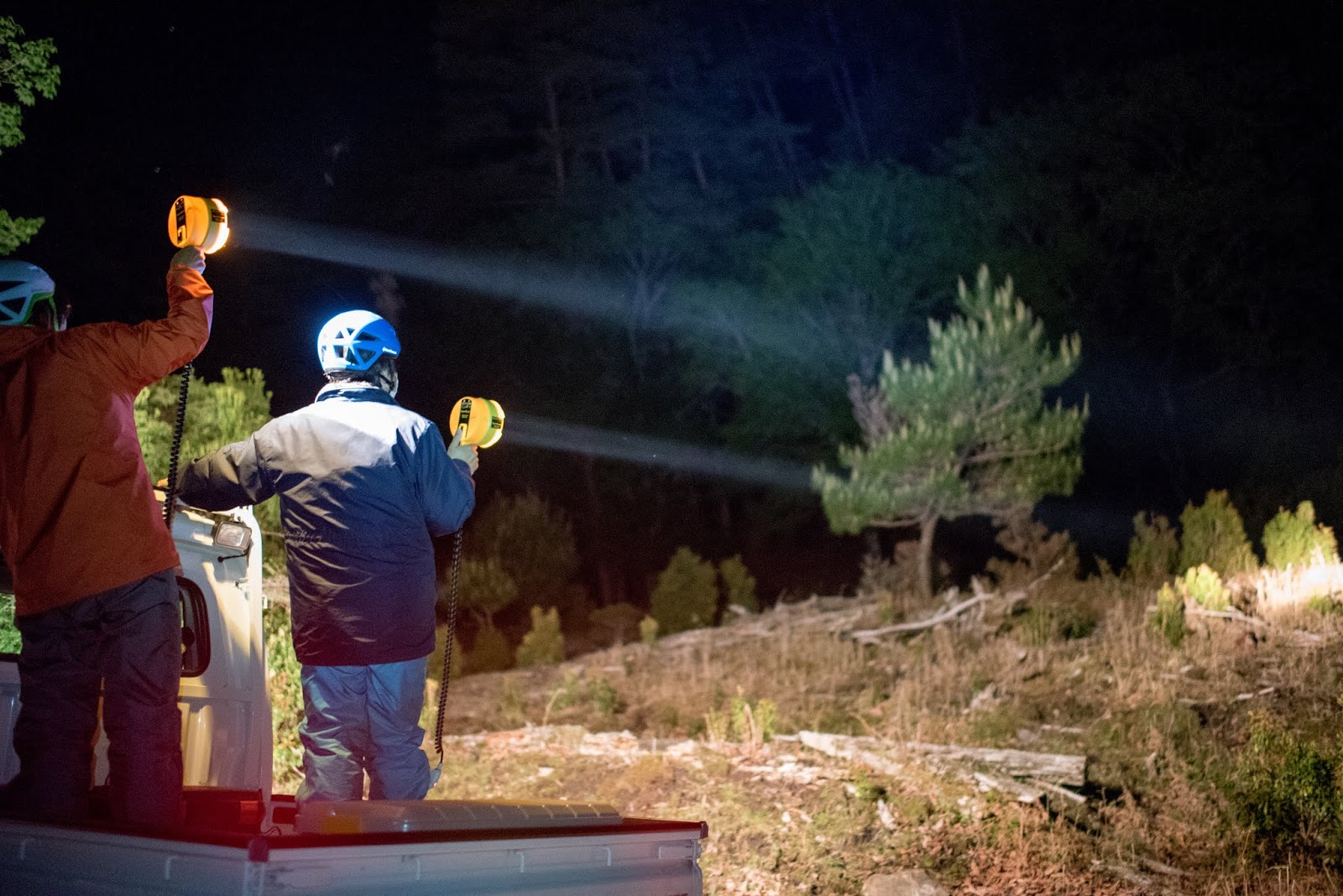 オオアリ:特徴、生息地、繁殖