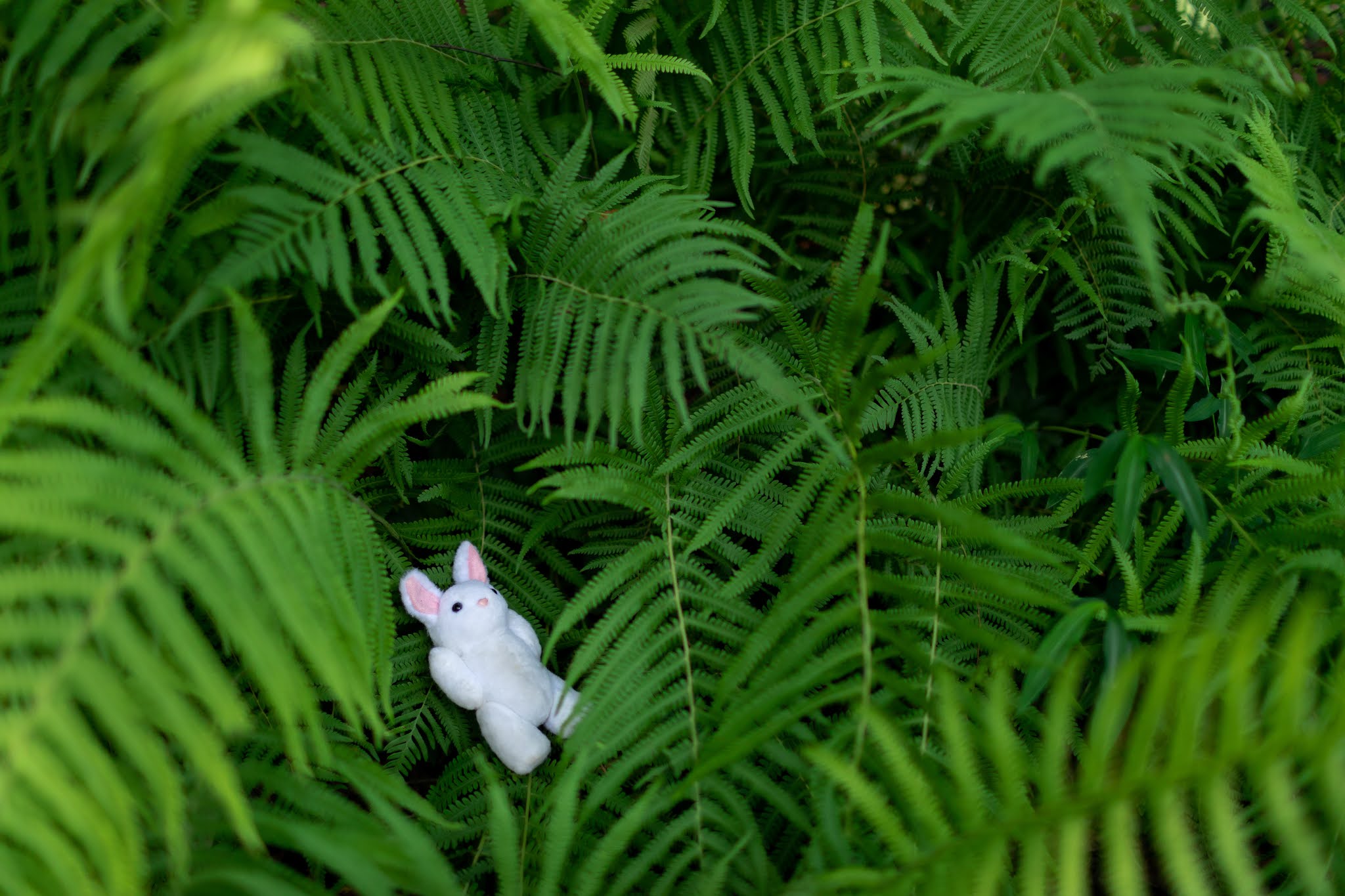 It's Going to Be Awhile To Find a Way Out