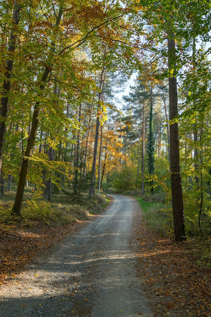 Bernsteinweg Schnaittenbach  Wandern im Amberg-Sulzbacher Land 02