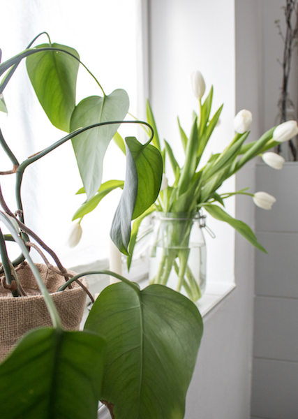 doitbutdoitnow : Frischekur: Badezimmer dekorieren