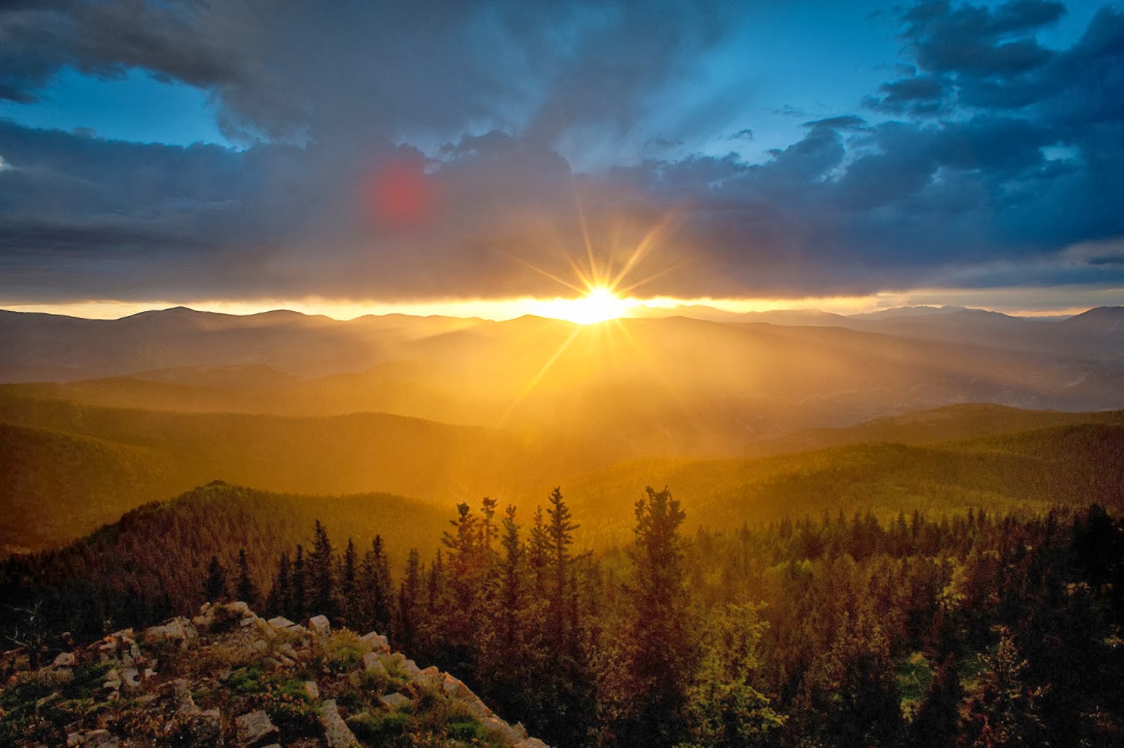 All photos gallery natural miracle, miracle by nature singapore