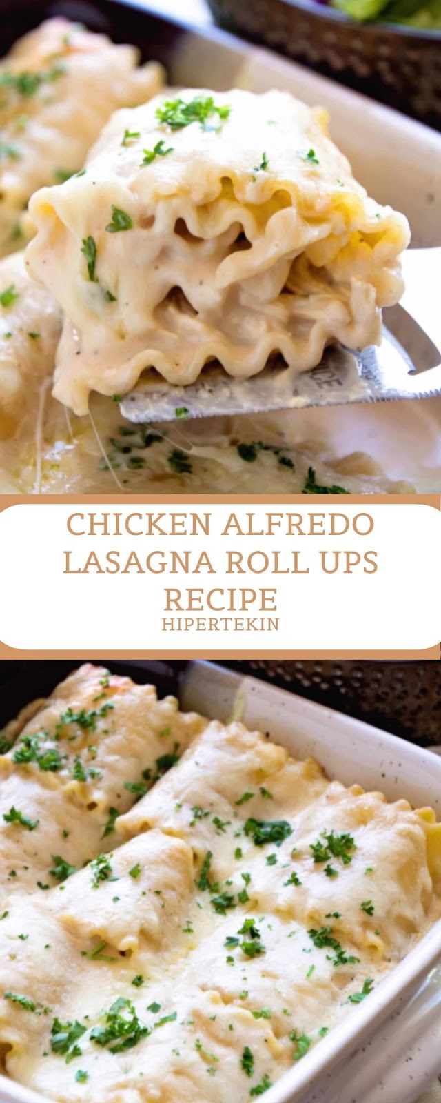 CHICKEN ALFREDO LASAGNA ROLL UPS RECIPE CHICKEN ALFREDO LASAGNA ROLL UPS RECIPE
