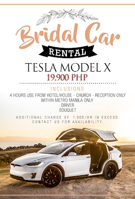 Telsa%2BModel%2BX%2Brental