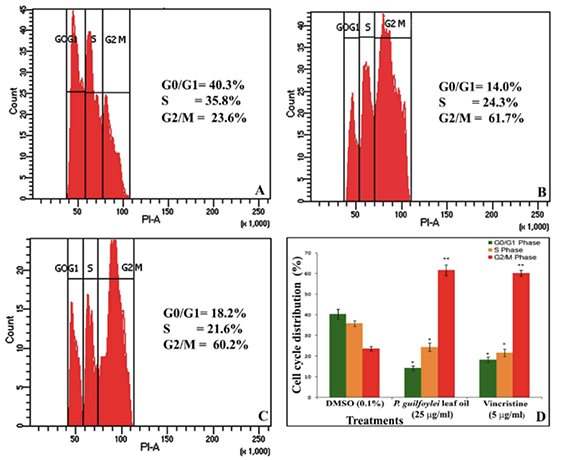 DLA cells treated with 0.1% DMSO (vehicle control) for 48 h; (B) DLA cells treated with P. guilfoylei leaf oil