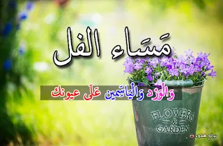 مساء الفل, مساء الخير, صور, بوستات, مكتوب عليها