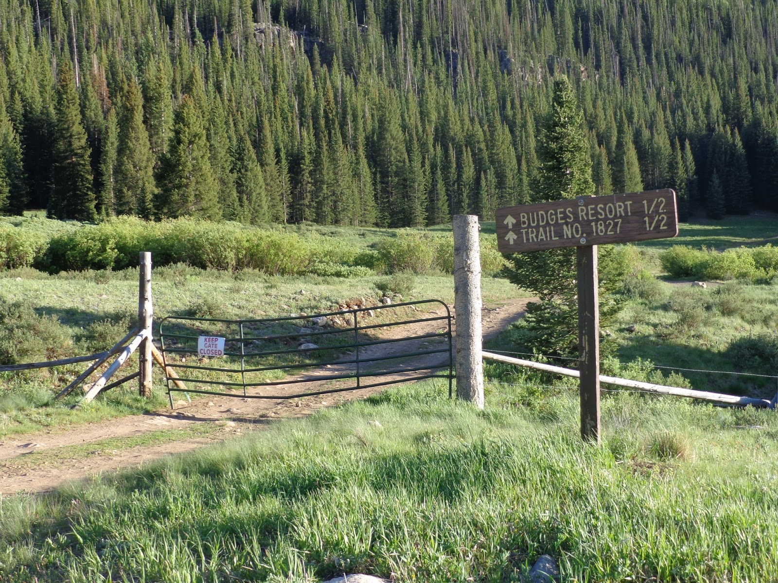 Random Adventuring... Bikepacking Coffee Pot Road into the Flat Tops