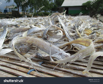 perjalanan-pedagang-gesek stock-photo-salted-fish-is-dried-naturally-using-a-halal-drying-process-and-without-preservatives-1892051596