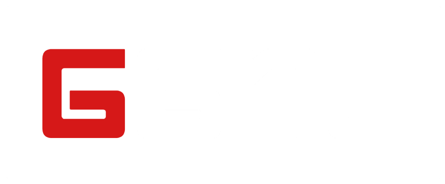 GAZI GLOBAL NETWORK Ltd.