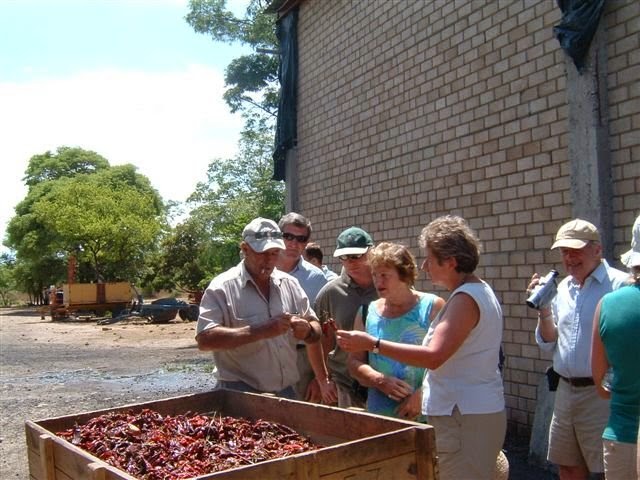 Agriculture Exposure Tour