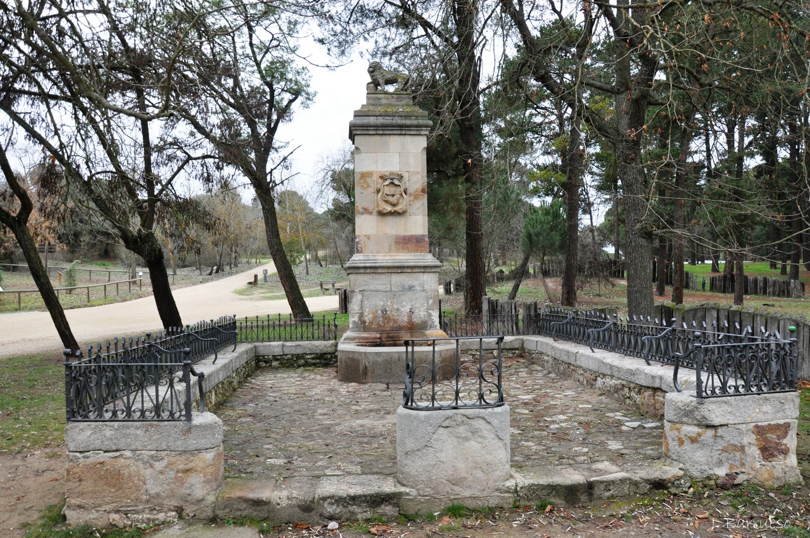 De paseo por la naturaleza: enero 2012