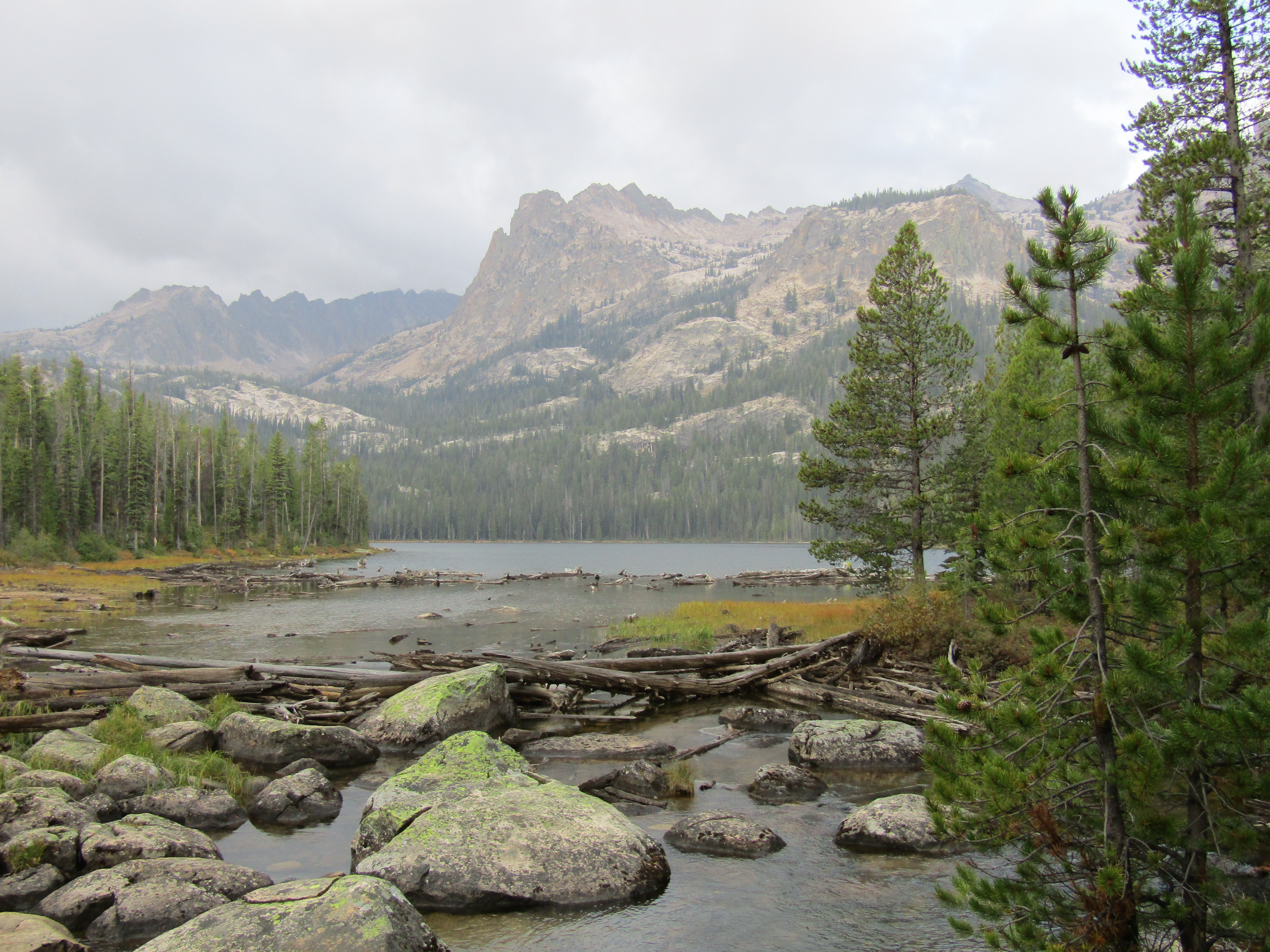 Holly's Horse Tales and Trails Tin Cup, Decker Flat, Iron Creek and