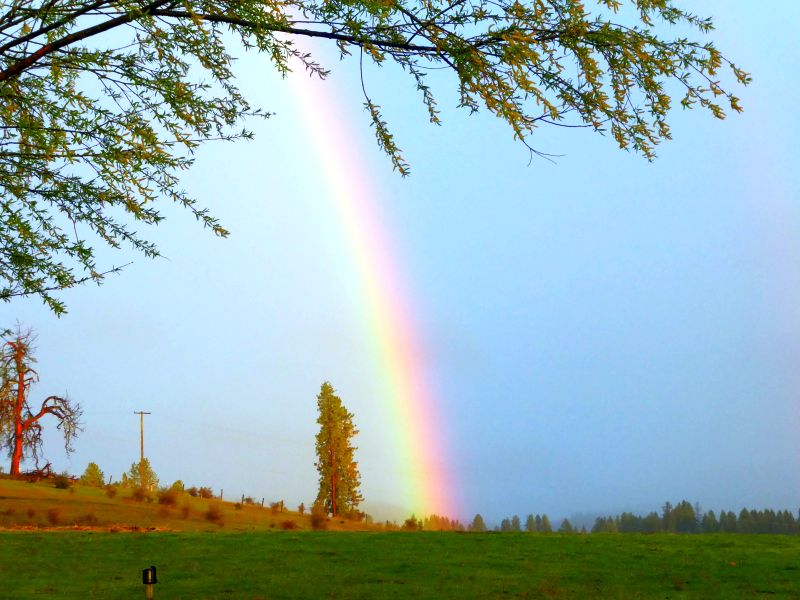 Rural Revolution: Cloudy with a chance of rainbows