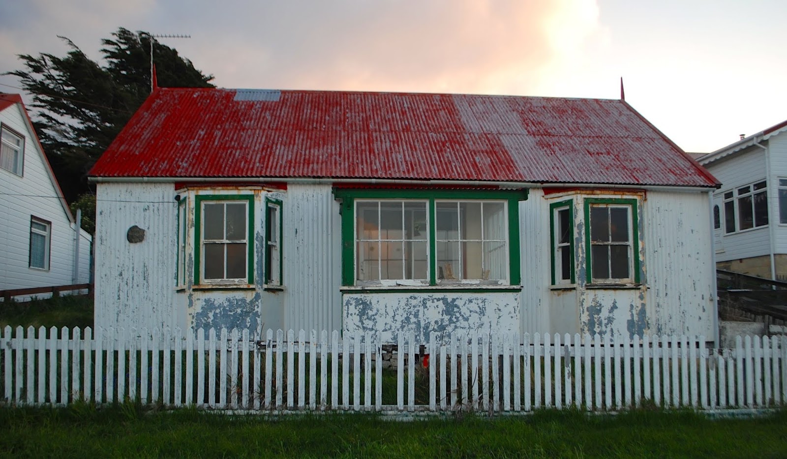 Southern Cone Travel In the Falkland Islands, a Week Is Not Enough