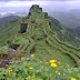 Rajgad | राजगड