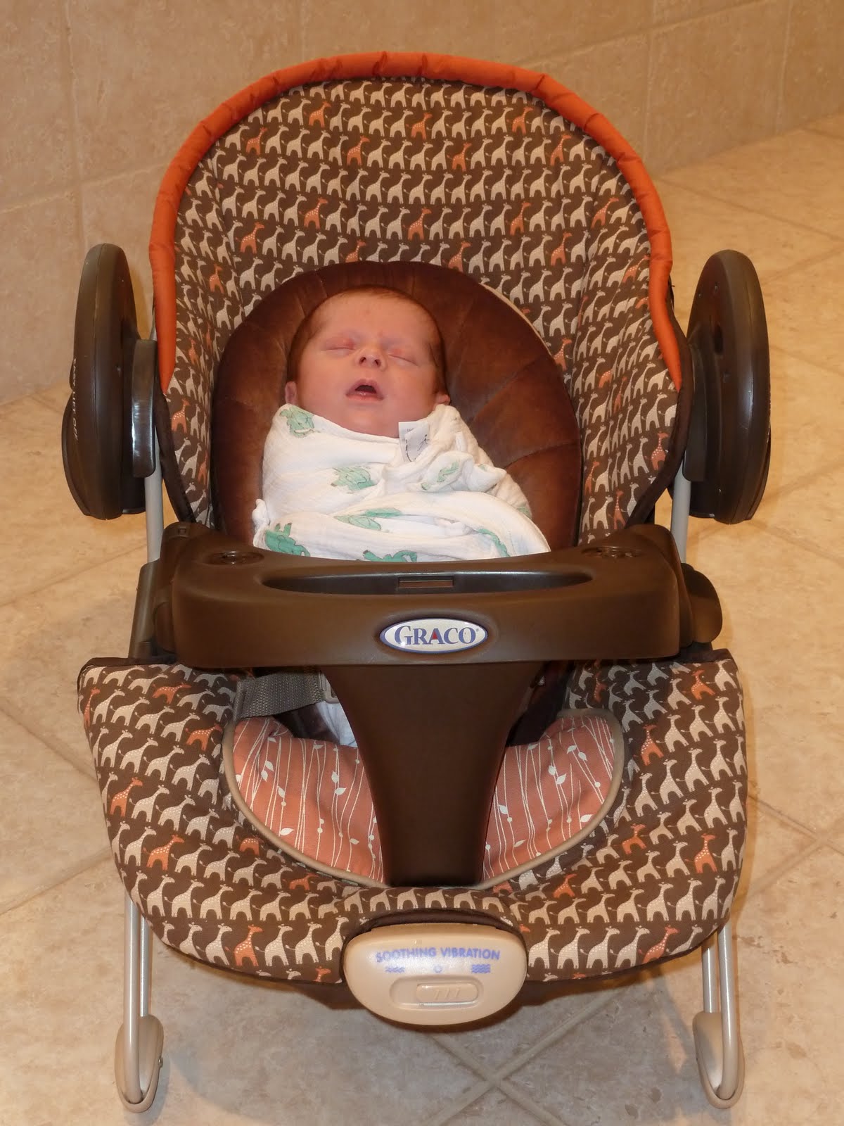 Asher's Adventures: Best Seat in the House