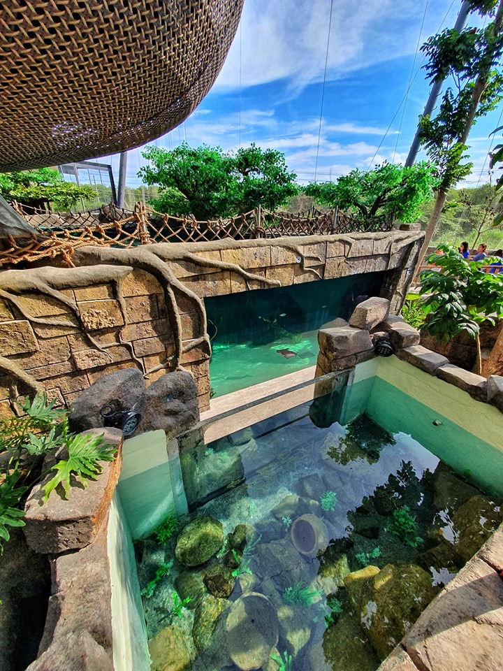 Biggest Oceanarium in the Philippines opens in Cebu