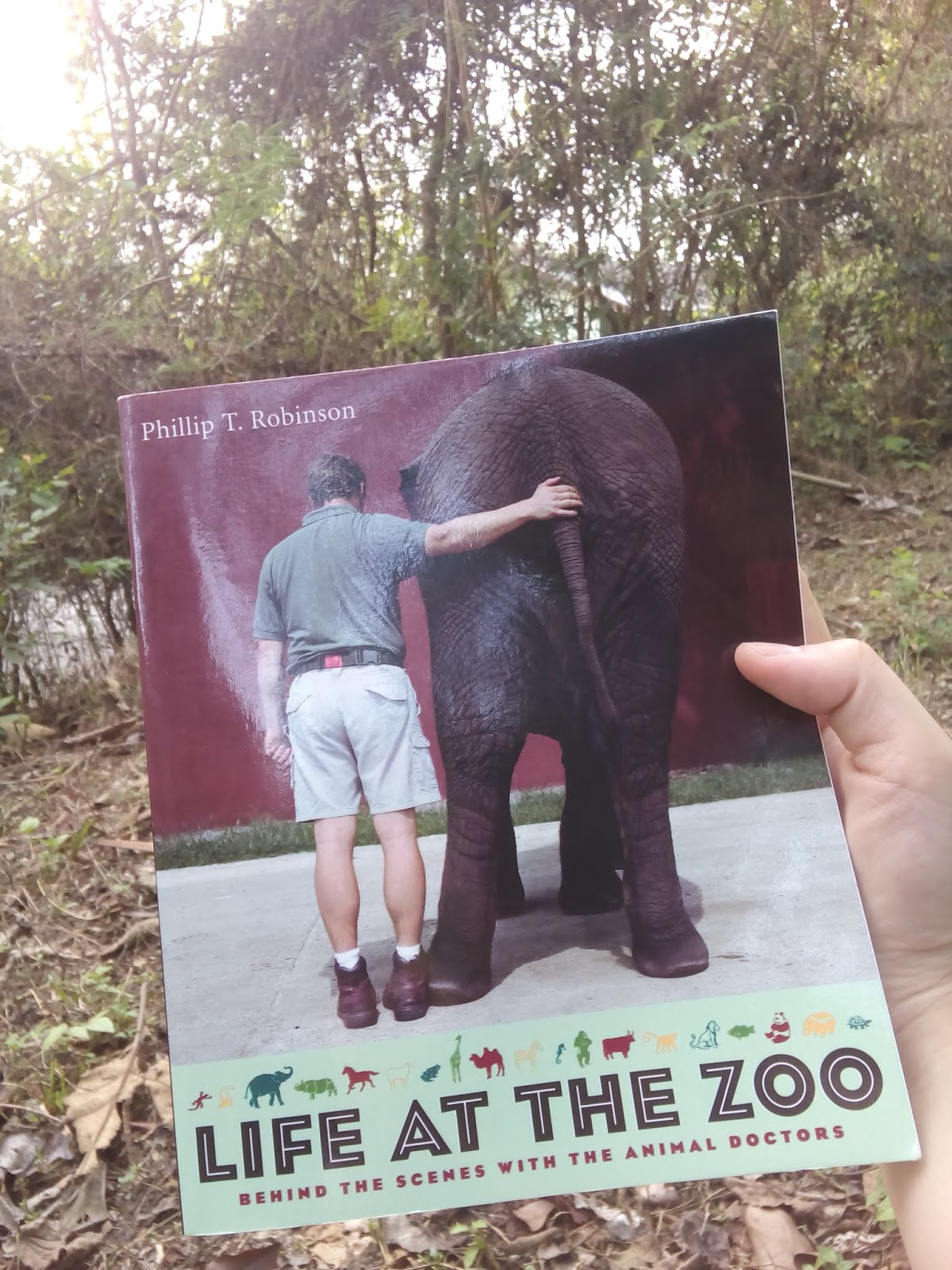 Life at the Zoo: Behind the Scenes with the Animal Doctors