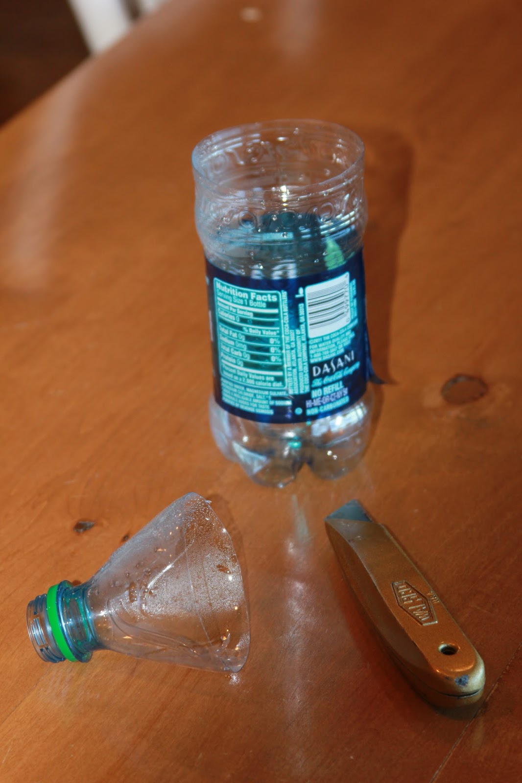 Time of Our Lives Fruit Fly Trap Cheap, But Effective!