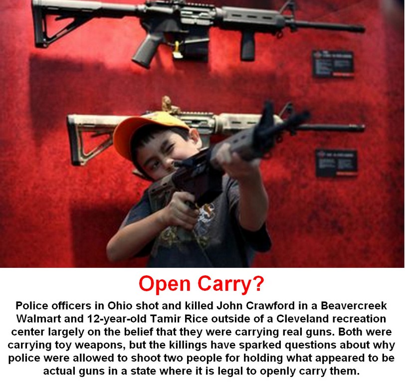 Acerbic Politics Focus on America's gun problem