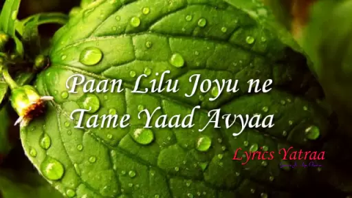 पान लीलू जोयु ने तमे | Famous gujarati traditional song lyrics