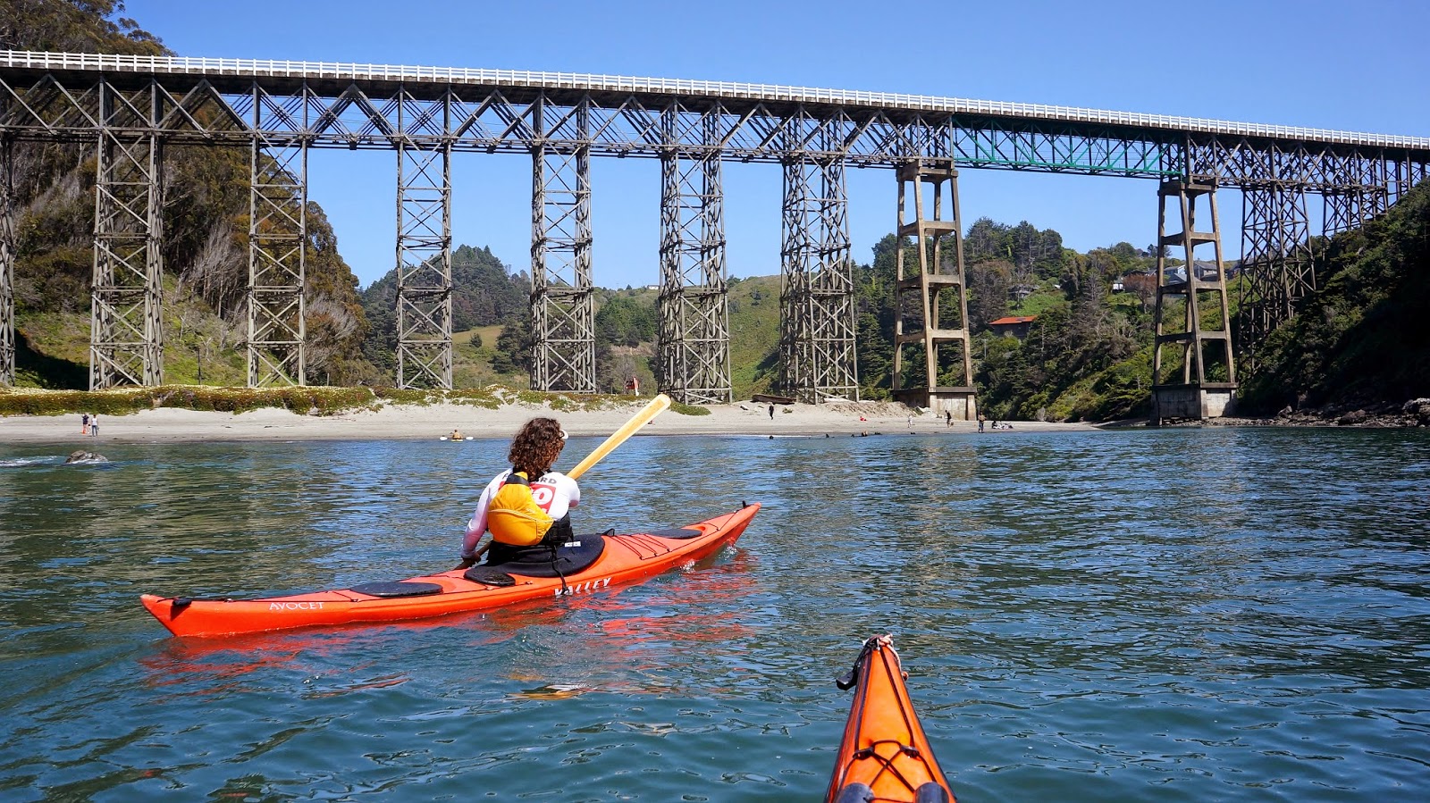 Paddle California The River Mild Kayaking the Albion River