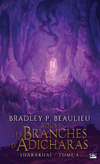 Sharakhaï, Tome 4 : Sous les branches d'adicharas epub 1 Sharakhaï, Tome 4 : Sous les branches d'adicharas epub sharakhai tome 4 sous les branches d adicharas 1430260 264 432