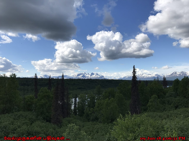 Denali Viewpoint North