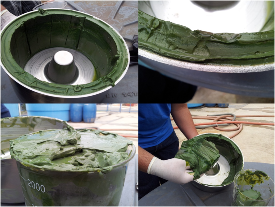 Eficiência na separação de microalgas depende de cultivos com alta ...