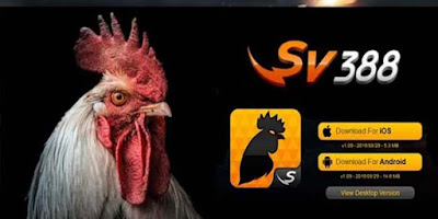 Situs Judi Ayam Sv388 | Adu Ayam Live Sv288 | Sabung Ayam Pw | Download Apk Sv388