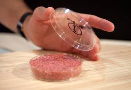 labmeat.jpeg