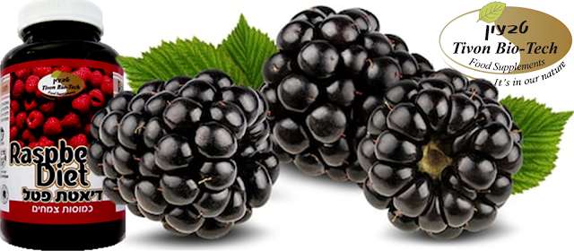 פטל שחור לדיאטה