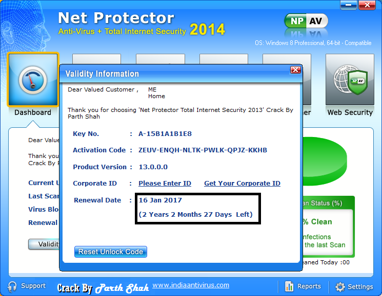 net protector 2013 torrent download